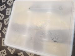 -船歌·鱼水饺青岛菜(正阳路店)