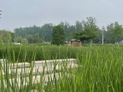 -佛手湖郊野公园