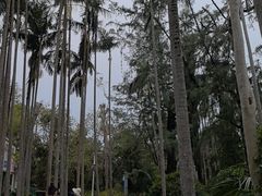 -北海市海滨公园