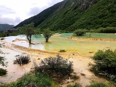 -黄龙山原始森林景区