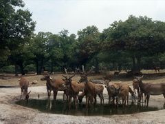 -西安秦岭野生动物园