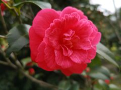 -蜀冈西峰生态公园