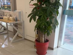 -皓齿连锁·雅贝健口腔·种植·矫正中心(虹口曲阳路店)