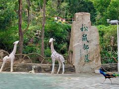 -汕尾铜鼎山旅游区