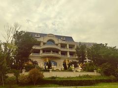 -星光岛