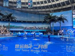 -海合安成都极地海洋公园