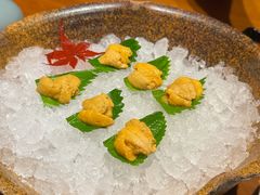 -月龍吟(朝龙汇店)