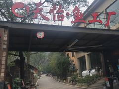 -天怡·鱼工厂(梅溪湖店)