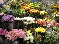 -植物学家的女儿(北马道巷店)