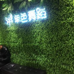 -单色舞蹈