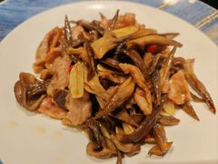 -川白楼·老成都院坝川菜鱼鲜馆(马鞍路店)