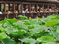 -龙头寺公园