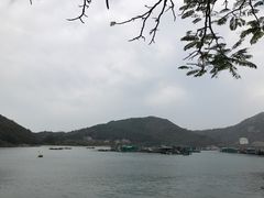 -南丫岛