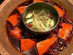 -锅说大脸毛肚重庆老火锅(佐阾店)