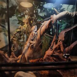 -Zoolung Zoolung动物主题公园(海信广场店)