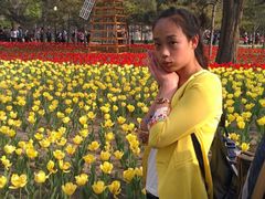 iphone_upload_pic-迎泽公园