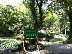 -绿野餐厅(上海动物园店)