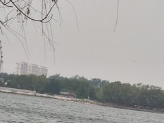-丁香湖公园