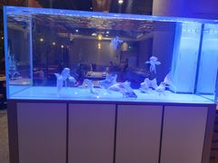 -黄鱼炙夜(华家池店)