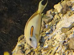 -嘉兴海底世界