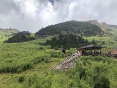 -神农架景区