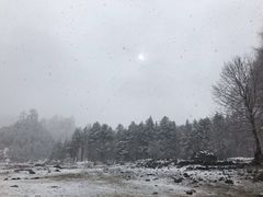 -硗碛藏寨·神木垒景区