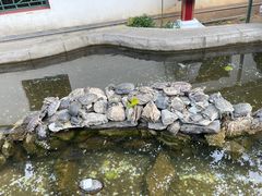 -红螺寺