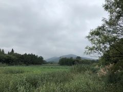 -尚贤河湿地