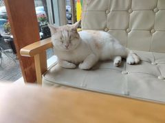 -NokNok Coffee(宽窄巷子店)