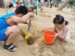 -宝安西湾红树林湿地公园