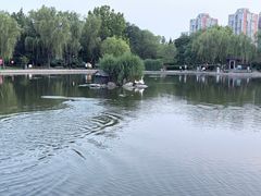 -太阳宫公园
