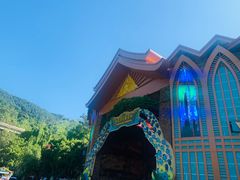 -西双版纳原始森林公园