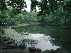 -灵谷景区