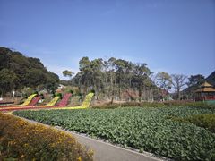 -广州市石门国家森林公园
