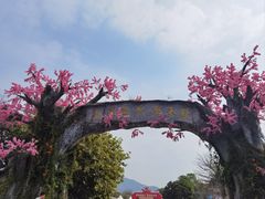 -天适樱花悠乐园