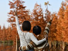 -白鹭湾湿地公园