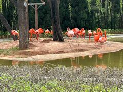 -石家庄市动物园