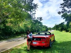 -丽姐租车