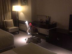 -国家会议中心大酒店