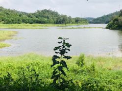 -佛灵湖水上乐园