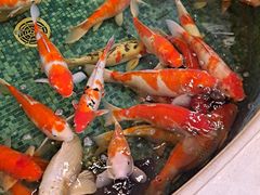 -北京新世纪饭店(动物园地铁站店)