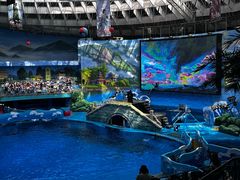 -海合安成都极地海洋公园