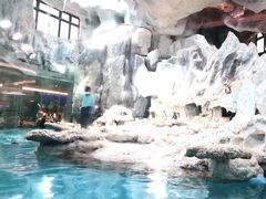 -帝企鹅自助餐厅•儿童岛•真企鹅(长隆企鹅酒店)