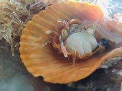 -乡味海鲜农家菜·巽寮土窑鸡(地道美食店)