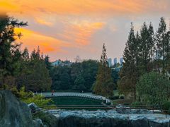 -环城公园-琥珀潭