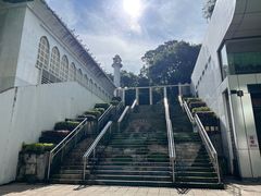 -九龙公园