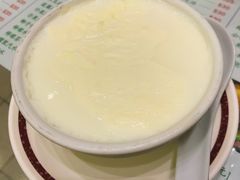 双皮奶-义顺牛奶公司(新马路老店)