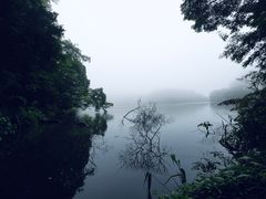 -广州市石门国家森林公园