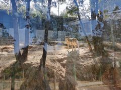 -泉州海丝野生动物世界