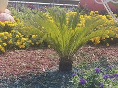 -长春公园(普阳街道)